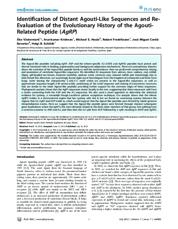 (PDF) Identification of Distant Agouti-Like Sequences and Re-Evaluation ...