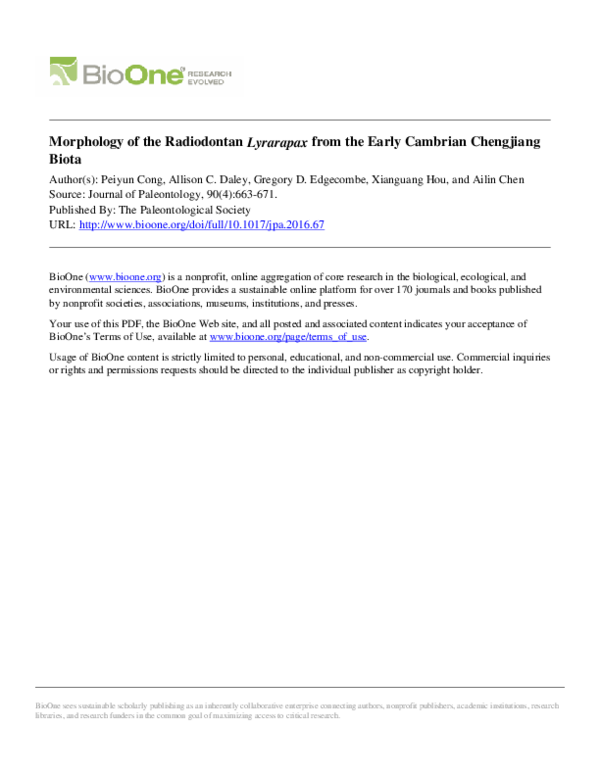 (PDF) Morphology of the Radiodontan Lyrarapax from the Early Cambrian
