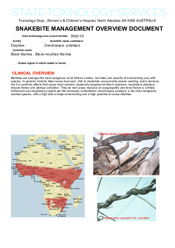 (PDF) SNAKEBITE MANAGEMENT OVERVIEW DOCUMENT