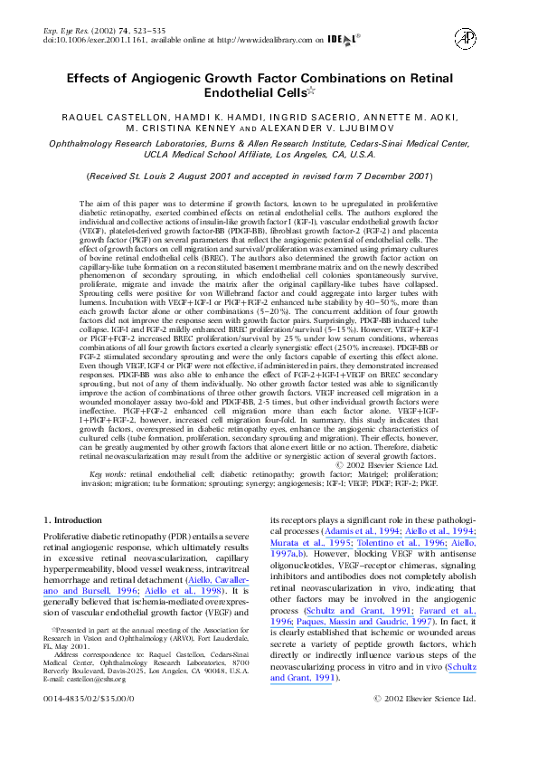 Endothelial cells essay 07 image