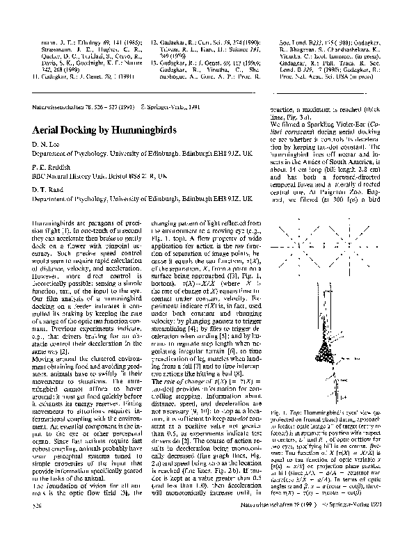 Pdf Aerial Docking By Hummingbirds Paul Reddish Academia Edu