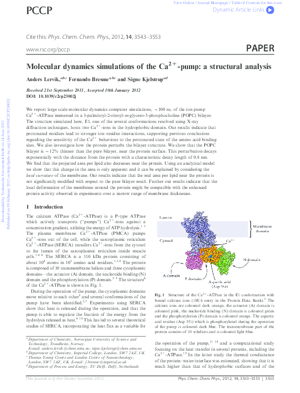 (PDF) Molecular dynamics simulations of the Ca2+-pump: a structural ...