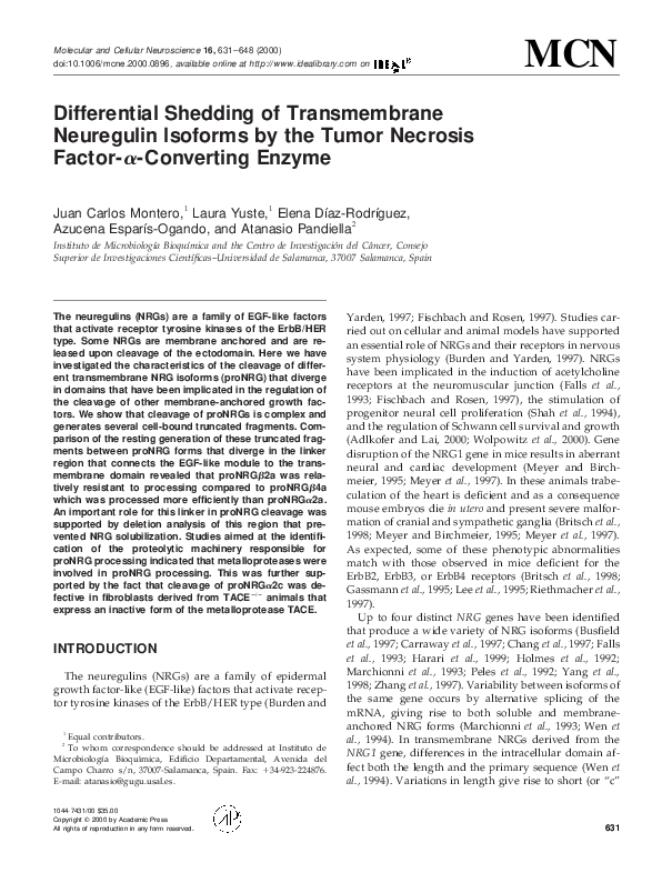 (PDF) Differential Shedding of Transmembrane Neuregulin Isoforms by the ...