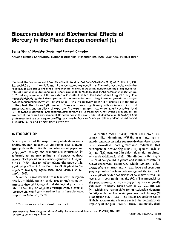 Essay on bioaccumulation picture