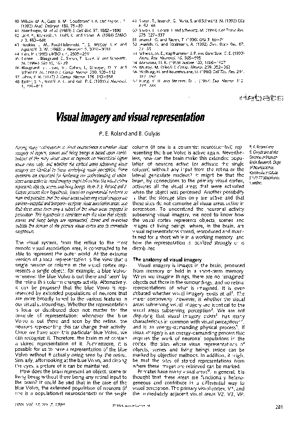 (PDF) Visual imagery and visual representation