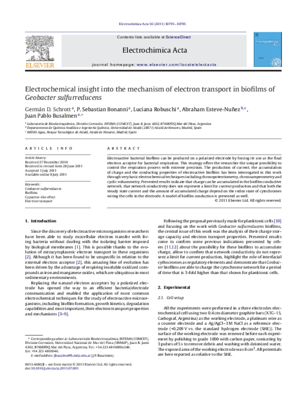 (PDF) Electrochemical insight into the mechanism of electron transport ...