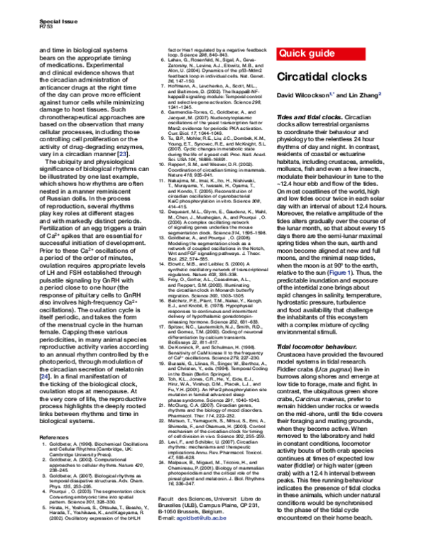 (PDF) Circatidal clocks