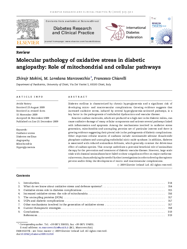 (PDF) Molecular pathology of oxidative stress in diabetic angiopathy ...
