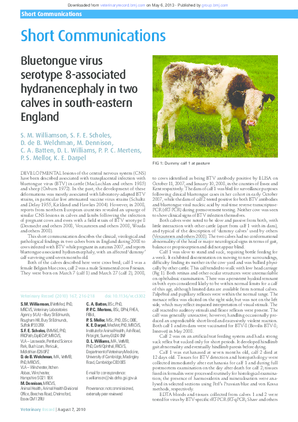 (PDF) Bluetongue virus serotype 8associated hydranencephaly in two