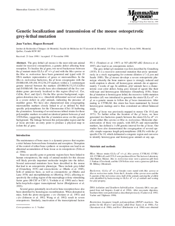 (PDF) Genetic localization and transmission of the mouse osteopetrotic ...