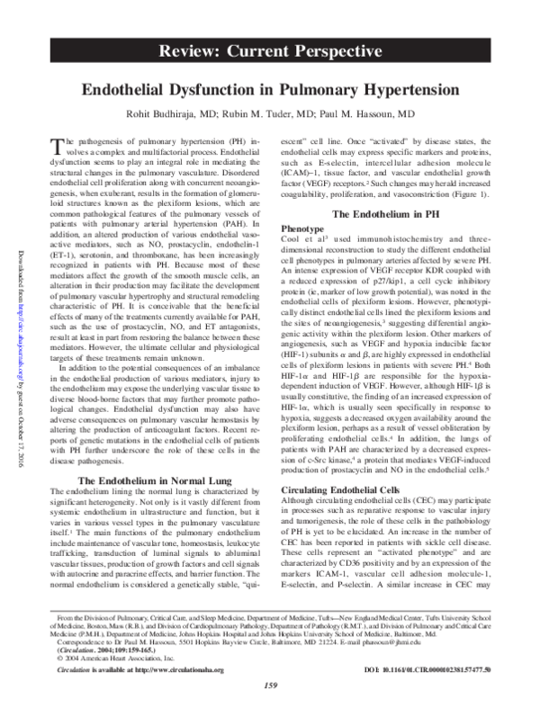 (PDF) Endothelial Dysfunction in Pulmonary Hypertension