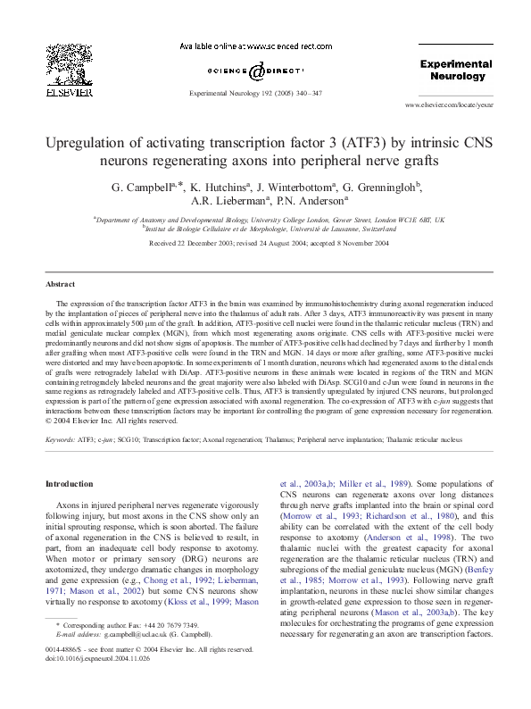 (PDF) Upregulation of activating transcription factor 3 (ATF3) by ...