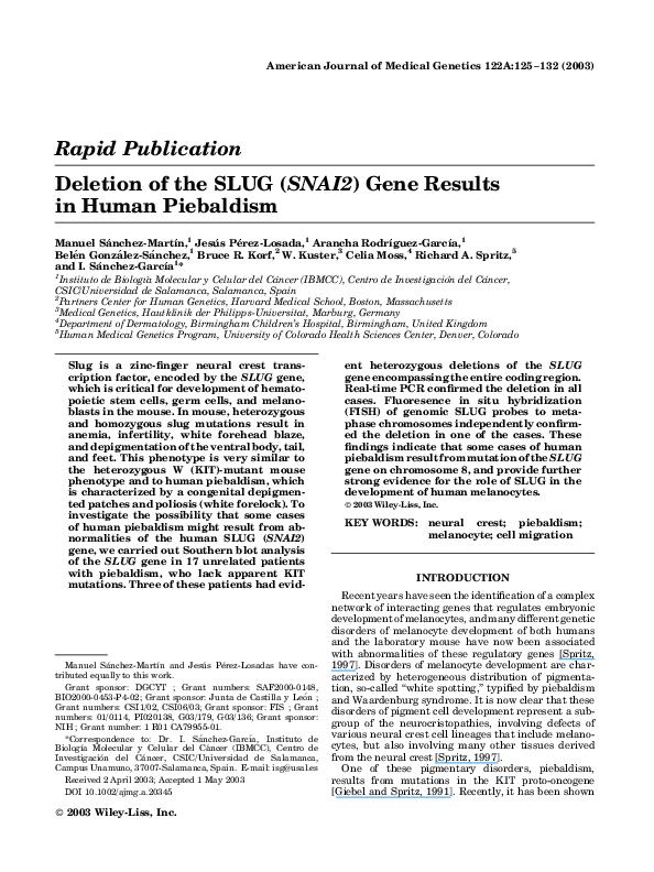 (PDF) Deletion of the SLUG (SNAI2) gene results in human piebaldism