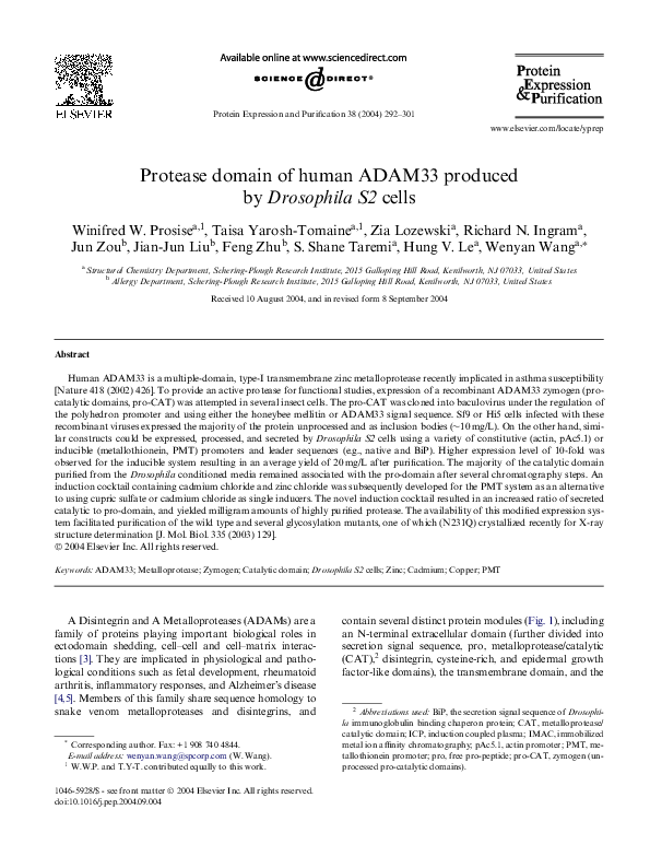 (PDF) Protease domain of human ADAM33 produced by cells