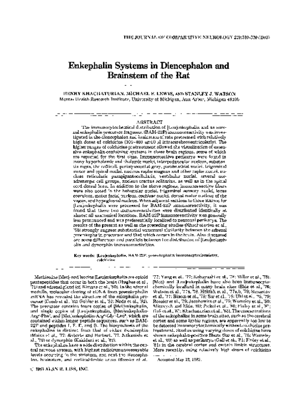 PDF) Enkephalin systems in diencephalon and brainstem of the rat ...