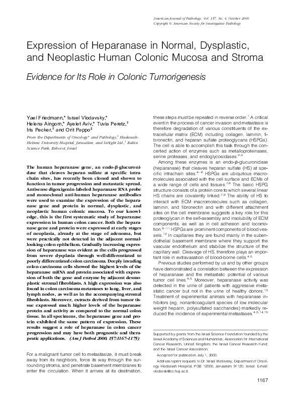 (PDF) Expression of Heparanase in Normal, Dysplastic, and Neoplastic ...