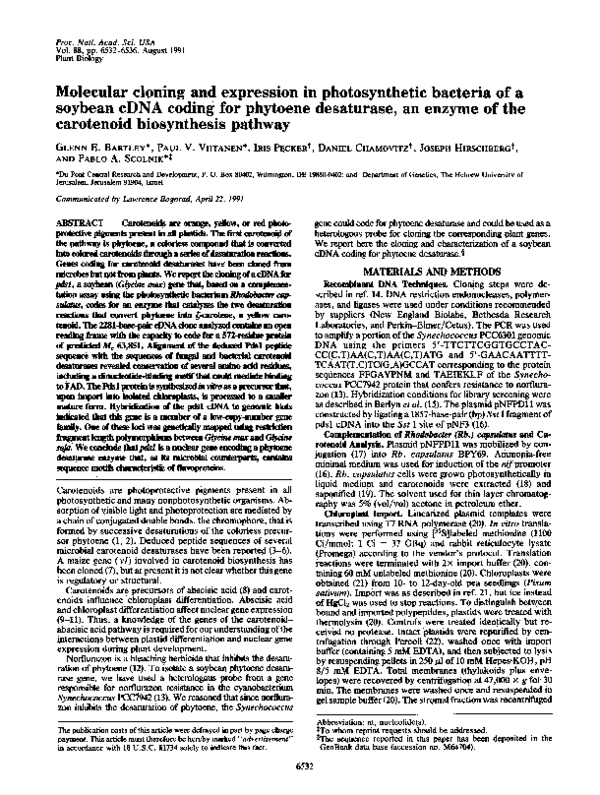 (PDF) Molecular cloning and expression in photosynthetic bacteria of a ...