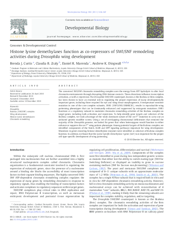 (PDF) Histone lysine demethylases function as co-repressors of SWI/SNF ...