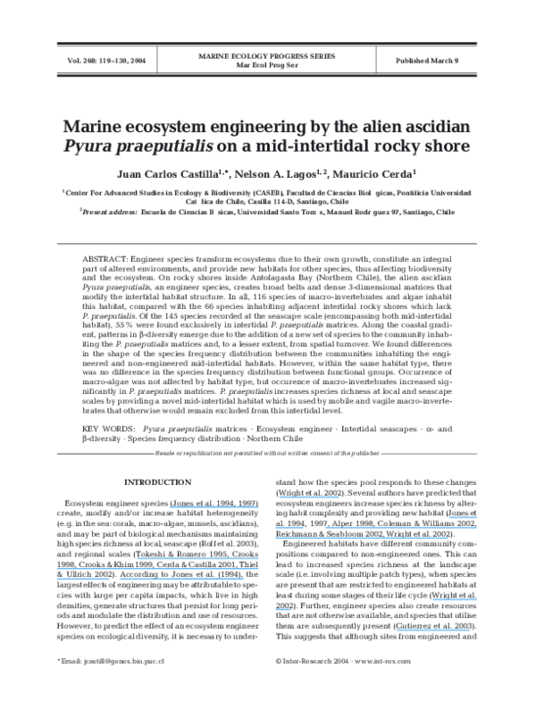Analyze the rocky shore ecosystem essay 06 picture