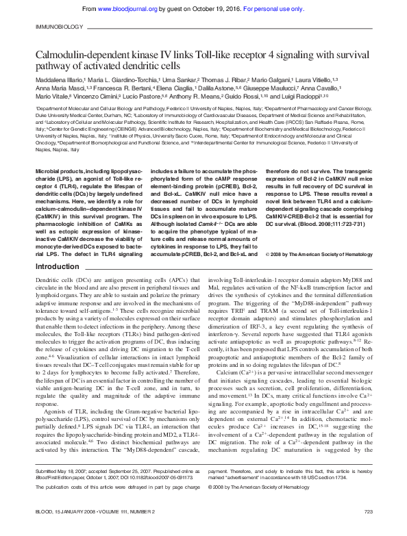 Calmodulin ef-hand picture