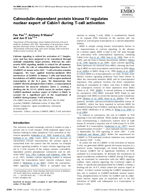 Thesis on calmodulin 05 image