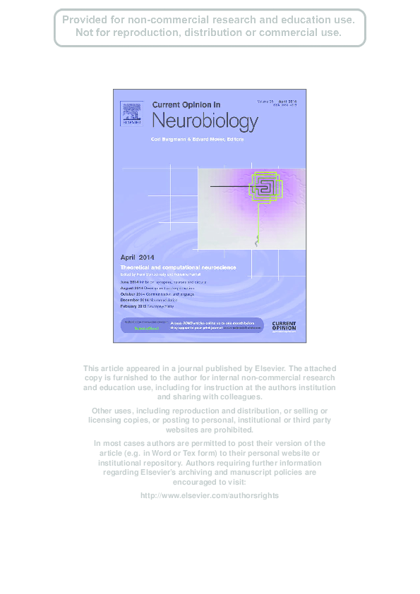(PDF) Large-scale brain dynamics in disorders of consciousness