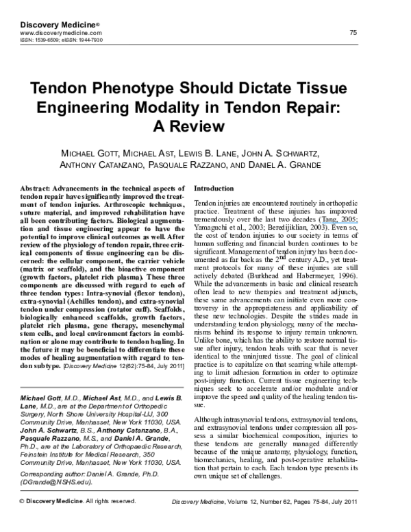 (PDF) Tendon phenotype should dictate tissue engineering modality in ...
