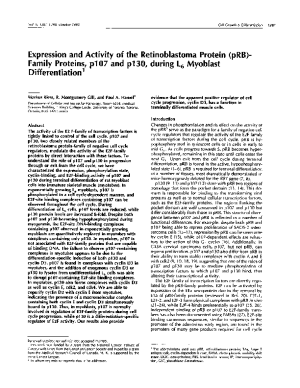 (PDF) Expression and activity of the retinoblastoma protein (pRB ...