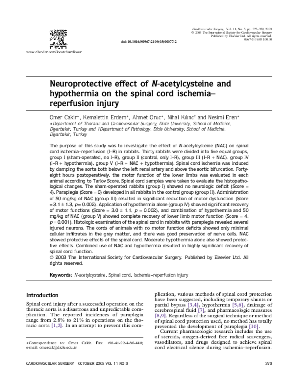 (PDF) Neuroprotective effect of N-acetylcysteine and hypothermia on the ...