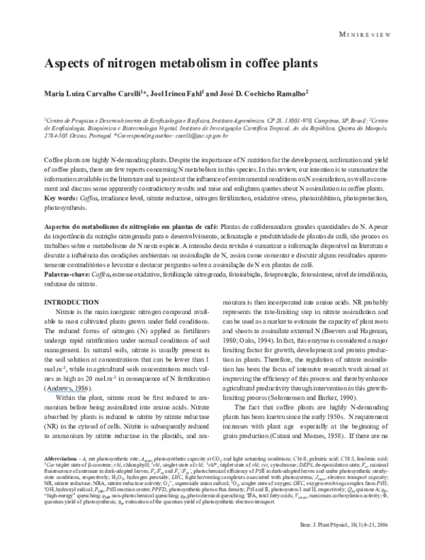 (PDF) Aspects of nitrogen metabolism in coffee plants Maria Carelli