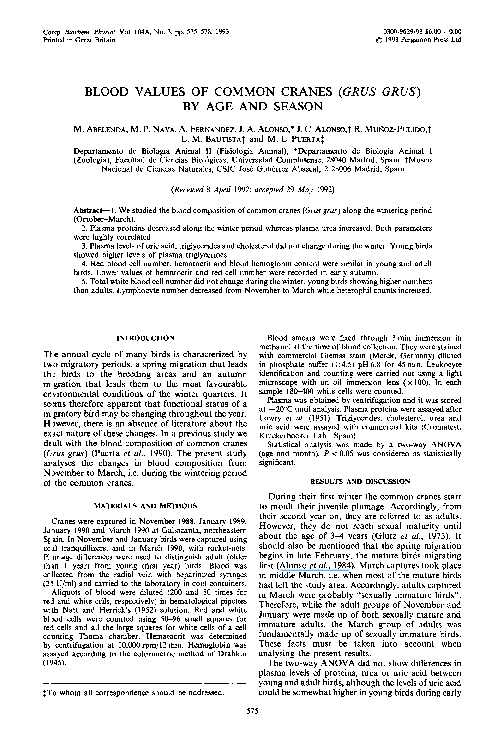 Origami essay picture