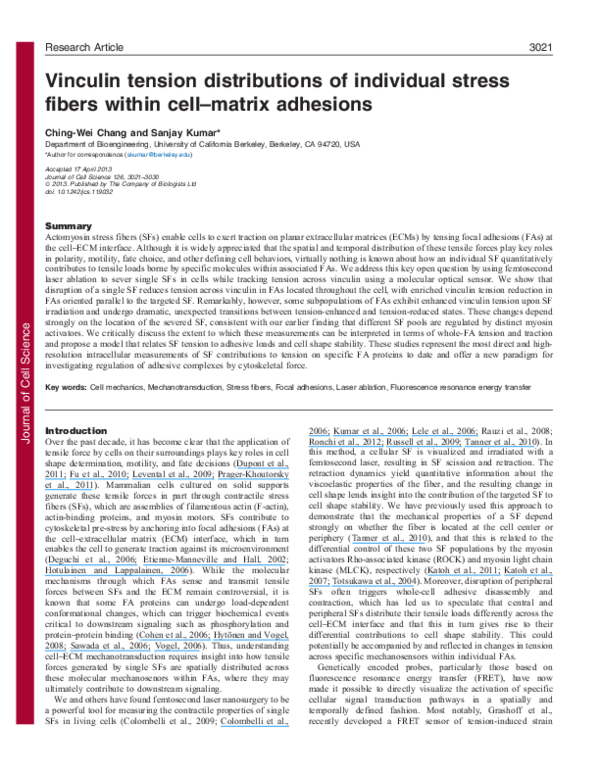 (PDF) Vinculin tension distributions of individual stress fibers within ...