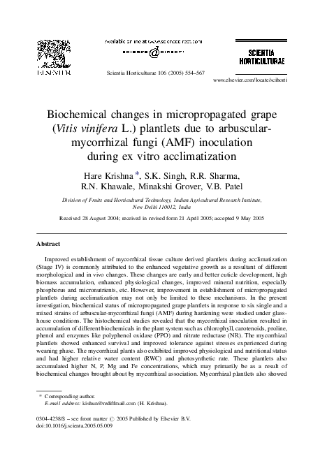 Pdf Biochemical Changes In Micropropagated Grape Vitis Vinifera L Plantlets Due To Arbuscular Mycorrhizal Fungi Amf Inoculation During Ex Vitro Acclimatization Minakshi Grover Academia Edu