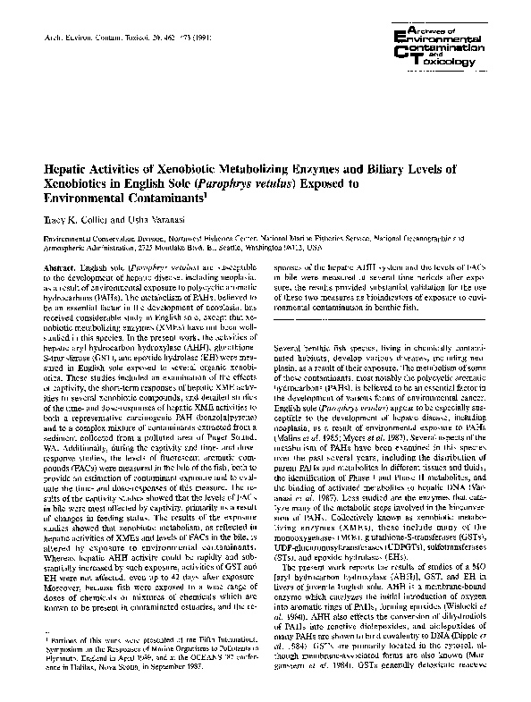 Essay on xenobiotics image