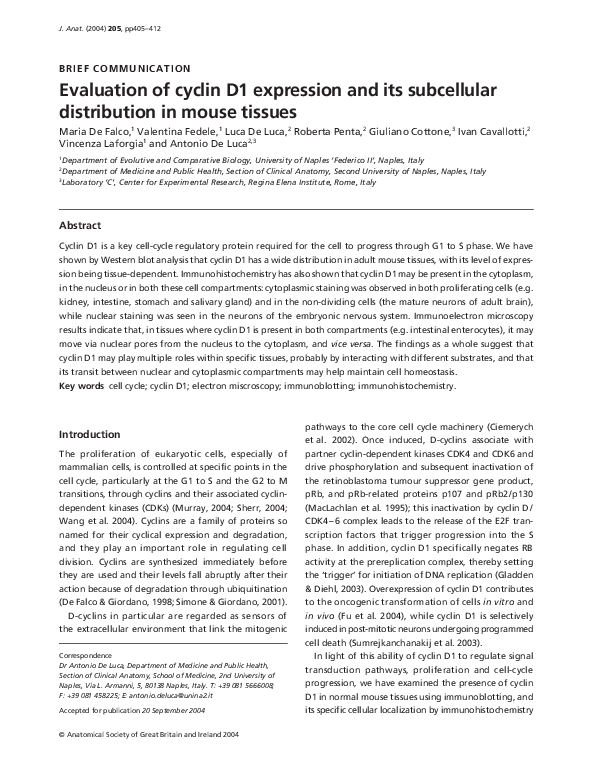 (PDF) Evaluation of cyclin D1 expression and its subcellular ...