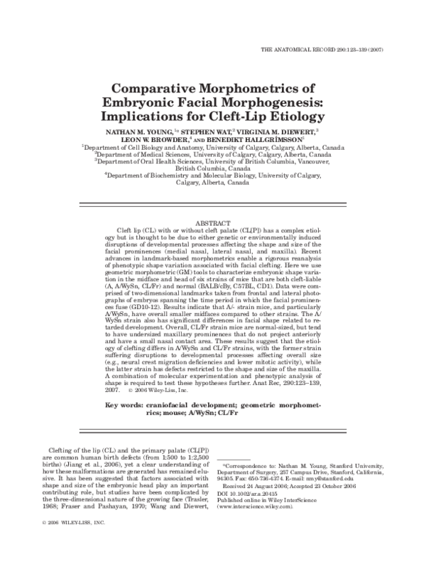 Synthesis essay example image