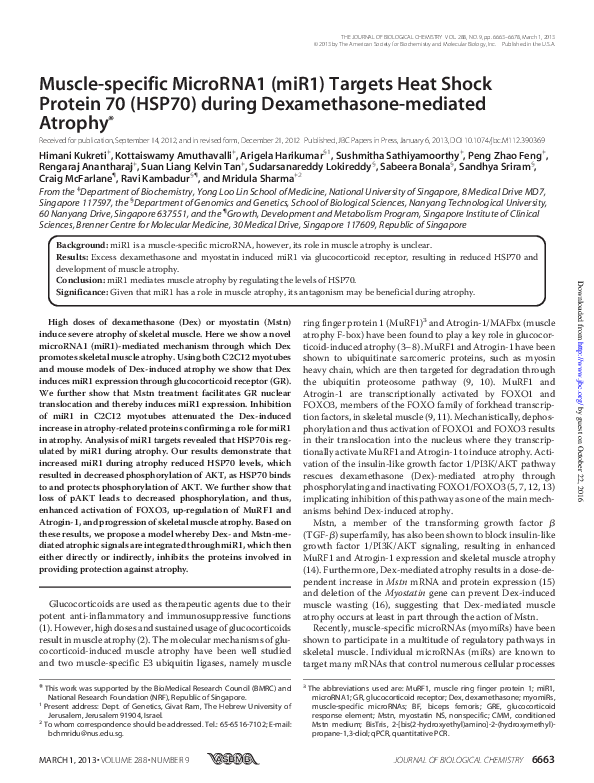 (PDF) Muscle-specific MicroRNA1 (miR1) Targets Heat Shock Protein 70 ...