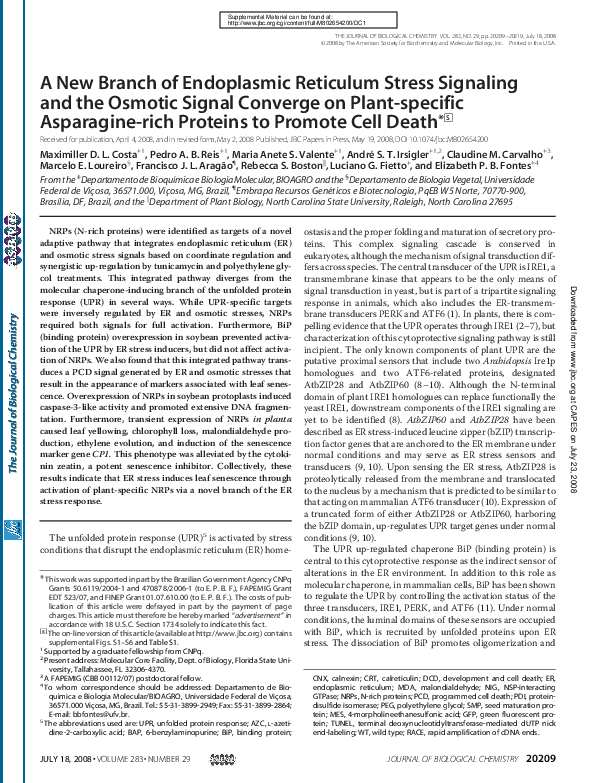 (PDF) A New Branch of Endoplasmic Reticulum Stress Signaling and the ...