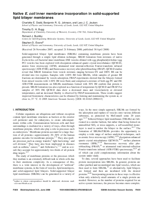 Eyvind johnson lars g warme essay 06 picture