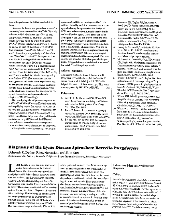 Borrelia burgdorferi essay 06 image