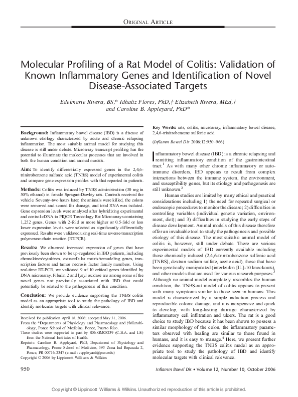 (PDF) Molecular Profiling of a Rat Model of Colitis: Validation of ...