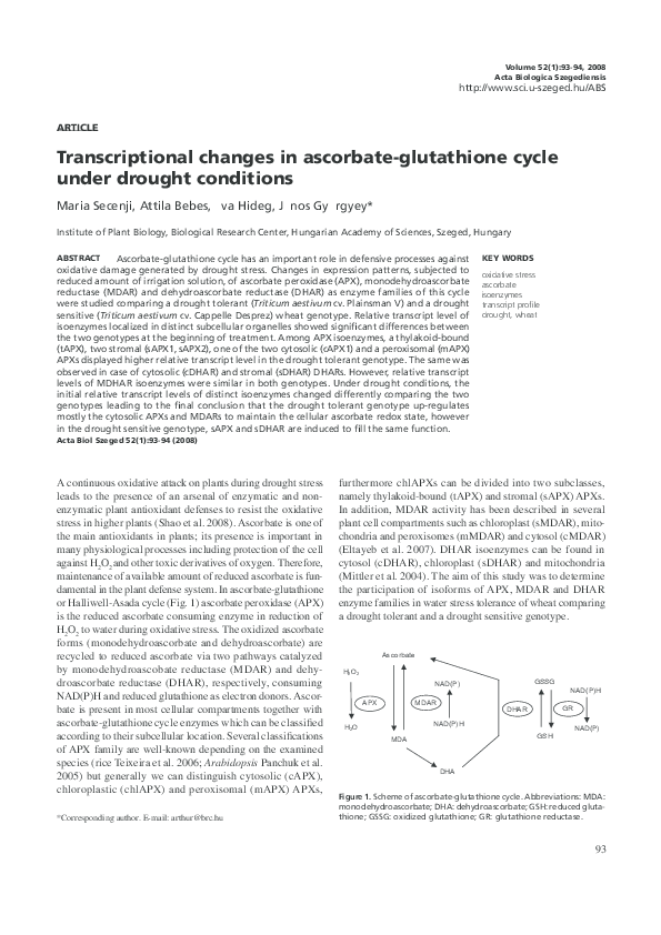 glutathione clinical serum Ascorbate and Glutathione: The Heart of the Redox Hub1 main image 1