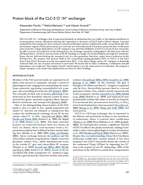 (PDF) Proton block of the CLC-5 Cl-/H+ exchanger
