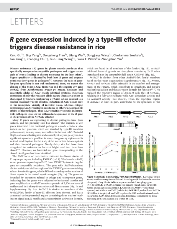 (PDF) R gene expression induced by a type-III effector triggers disease ...