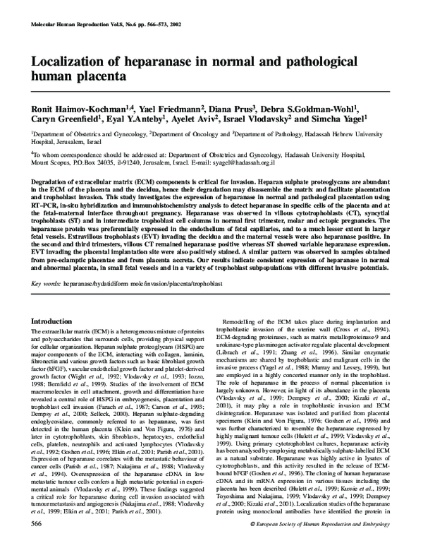 (PDF) Localization of heparanase in normal and pathological human placenta