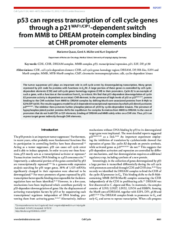 (PDF) p53 can repress transcription of cell cycle genes through a ...