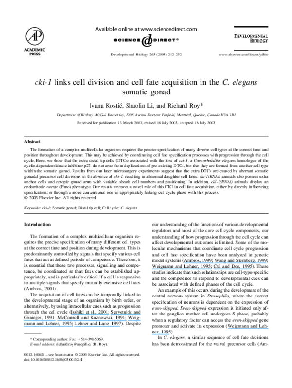 (PDF) Cki-1 links cell division and cell fate acquisition in the C ...