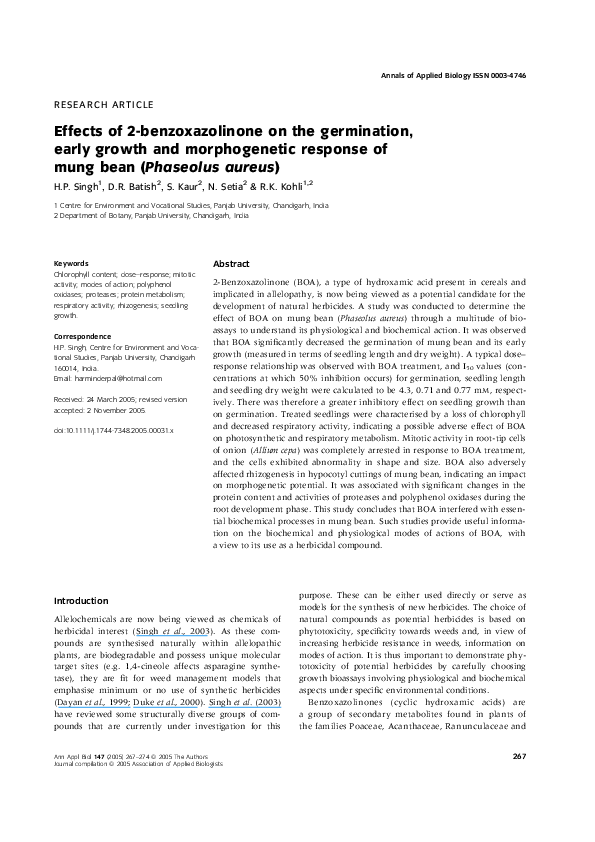 Mung bean bioavailability picture