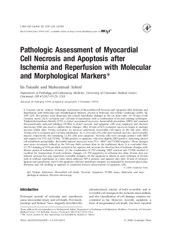 (PDF) Pathologic Assessment of Myocardial Cell Necrosis and Apoptosis ...