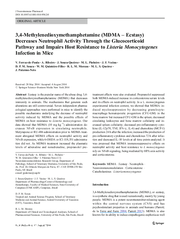 Whats in ecstacy picture